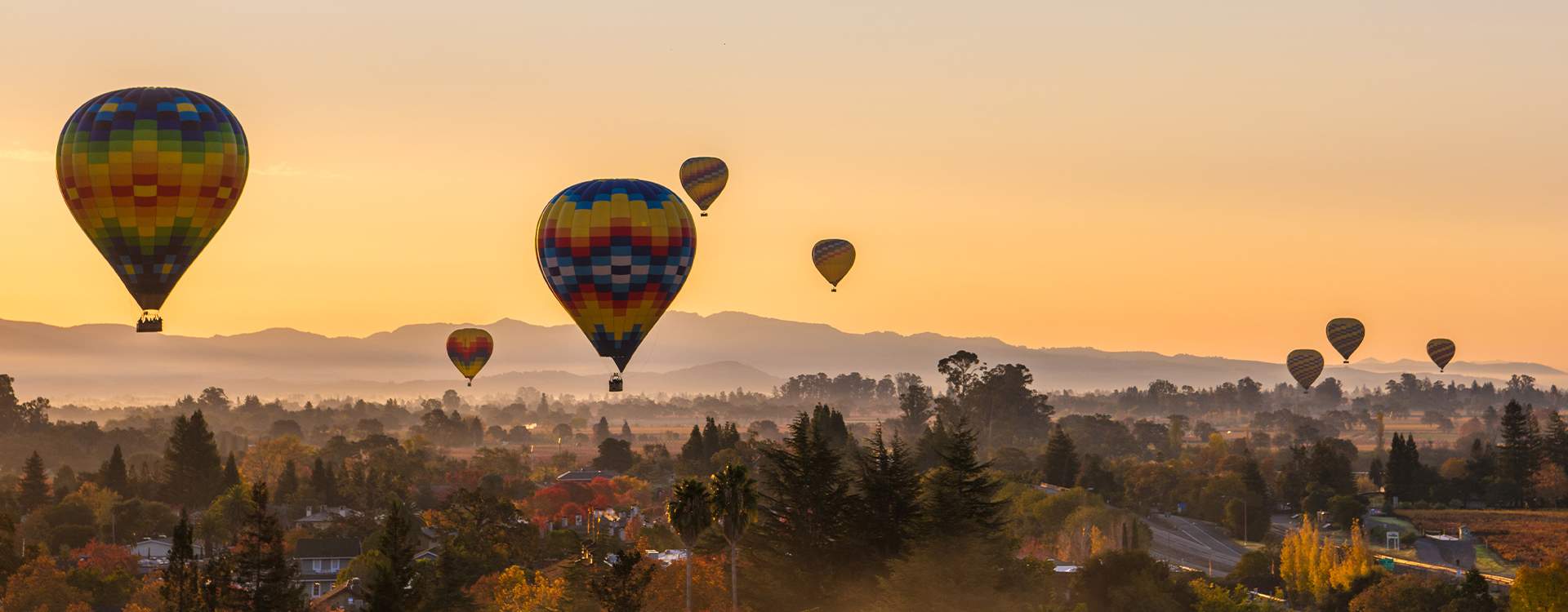 Hot air balloons over Napa Valley at dusk